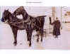 Frank Ballheim and His Mail Cart 